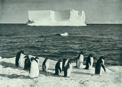 Un iceberg a la deriva en el sonido de McMurdo, c. 1910-1913, 1913 de Herbert Ponting