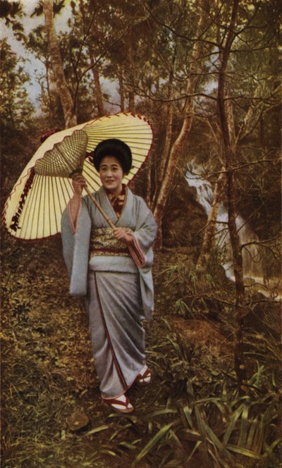 Una lluvia en el bosque de Herbert Ponting