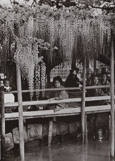 Una pérgola de glicinas en Kameido de Herbert Ponting
