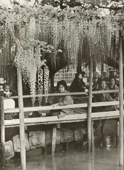 Una pérgola de glicinas en Kameido, 1910 de Herbert Ponting
