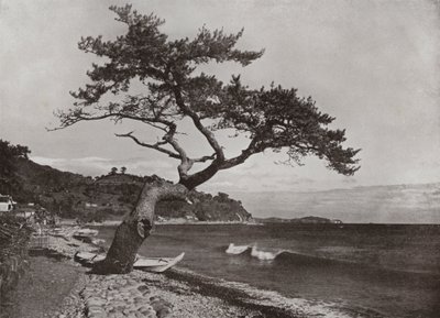 Atami de Herbert Ponting