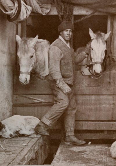 El Capitán Oates y los ponis en el Terra Nova, c1910-1912 de Herbert Ponting