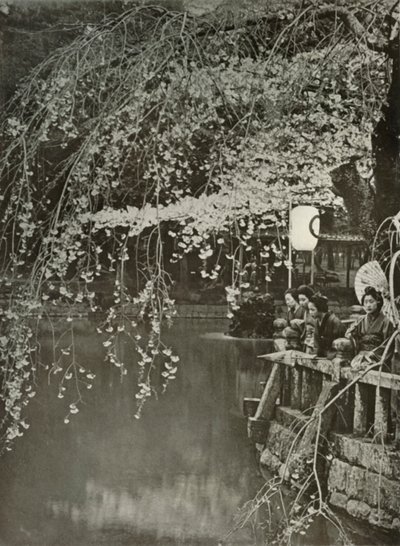 Tiempo de flor de cerezo en Japón, 1910 de Herbert Ponting