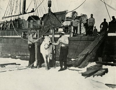 Desembarco de los ponis de Herbert Ponting