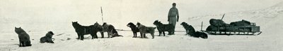 Perros con Suministros a Punto de Salir de Hut Point de Herbert Ponting