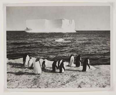 Iceberg a la deriva frente al cabo Royds de Herbert Ponting