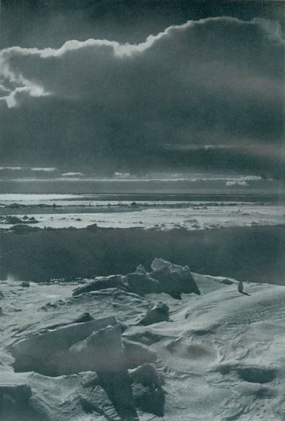 Escena vespertina en el parque, c. 1910-1913, 1913 de Herbert Ponting