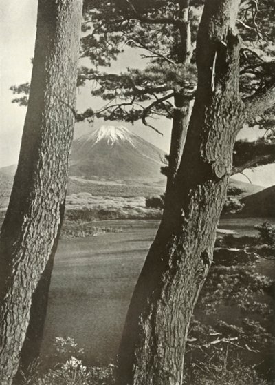 El Fuji a través de los pinos del lago Motosu de Herbert Ponting