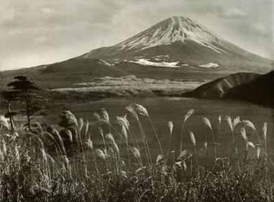 Fuji y la hierba Kaia, 1910 de Herbert Ponting