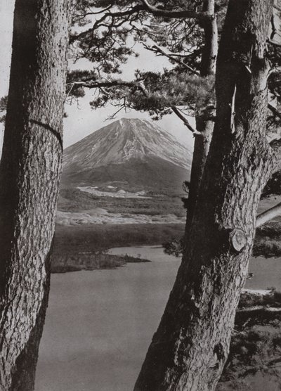 Fuji y los pinos (foto en b/n) de Herbert Ponting