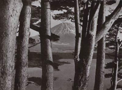 Fuji a través de los pinos de Herbert Ponting
