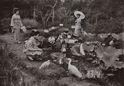 En un jardín de lotos (foto en b/n) de Herbert Ponting