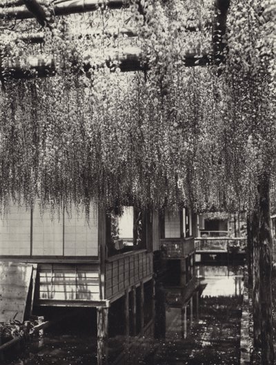 Japón en los años 1920: Tokio, Kameido (foto en blanco y negro) de Herbert Ponting