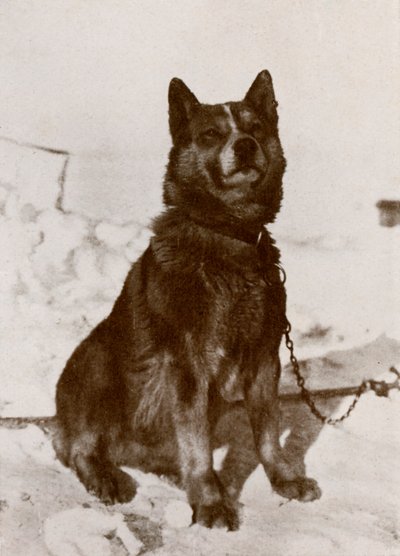 Krisravitsa, c1910-1913, 1913 de Herbert Ponting