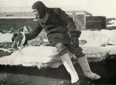 Teniente Rennick y un pingüino amistoso, 1911 de Herbert Ponting