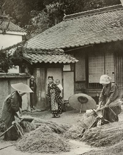 Campesinas cosechando cebada, 1910 de Herbert Ponting
