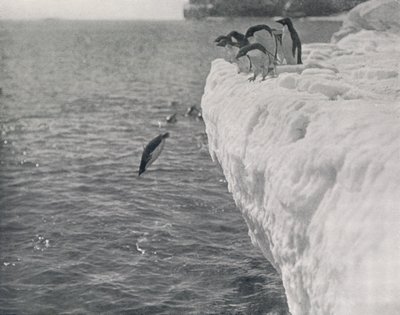 Pingüinos buceando, c1911, 1913 de Herbert Ponting