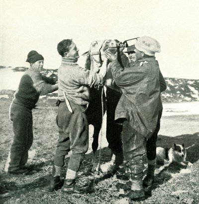 Pony Toma Whisky de Herbert Ponting