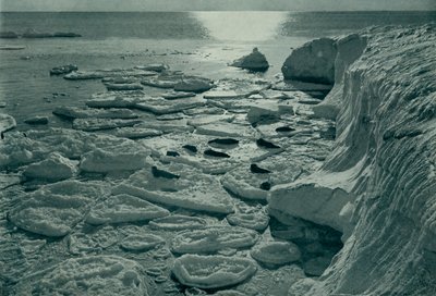 Focas tomando el sol sobre hielo recién formado en Cabo Evans, c. 1910-1913 de Herbert Ponting