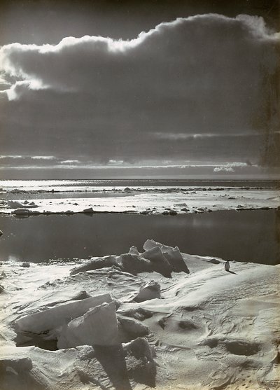 Puesta de sol en la manada de Herbert Ponting