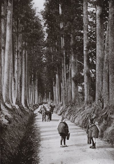 La Avenida de los Cryptomerias en Nikko (foto en blanco y negro) de Herbert Ponting