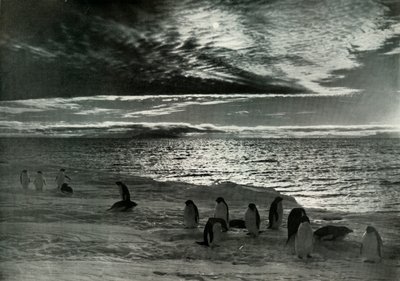 El Sol de Medianoche en el Sonido de McMurdo, c. 1910-1913, 1913 de Herbert Ponting