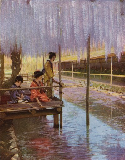 Bajo las glicinas púrpuras de Herbert Ponting