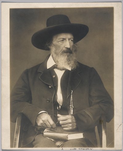 Lord Tennyson de Herbert Rose Barraud