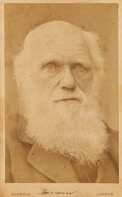 Retrato de Charles Darwin 1809-1882, 1881 de Herbert Rose Barraud