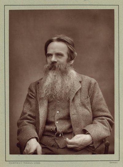 Retrato del pintor William Holman Hunt 1827-1910 de Herbert Rose Barraud