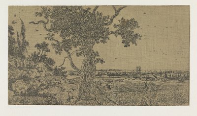 paisaje con un roble y una vista lejana de Hercules Segers