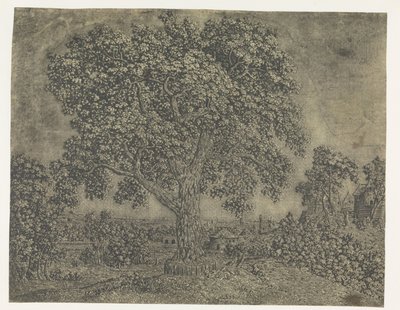 El árbol grande de Hercules Segers