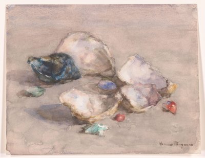 Conchas en la playa de Herman Bogman (signed by artist)