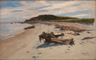 Cape Cod, Playa de Herman Hartwich