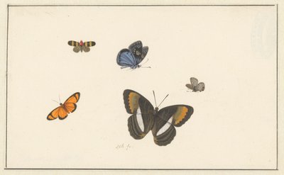 Cinco mariposas (acuarela y gouache) de Herman Henstenburgh