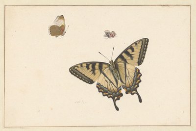 Tres mariposas de Herman Henstenburgh