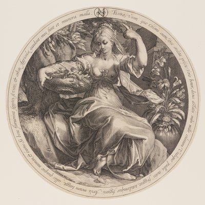Flora de Herman Jansz. Muller