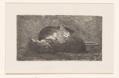 Dos gatos de Herman Johannes van der Weele