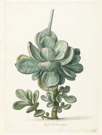  de Herman Saftleven