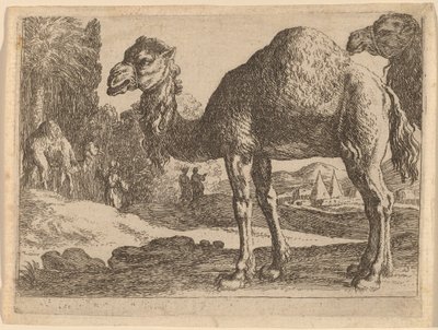 Camellos de Herman van Swanevelt