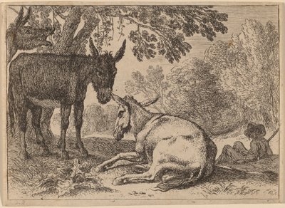 Burros de Herman van Swanevelt