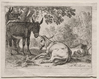 Burros de Herman van Swanevelt