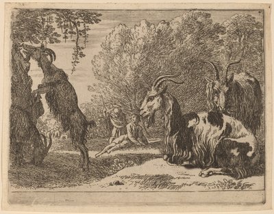 Cabras de Herman van Swanevelt