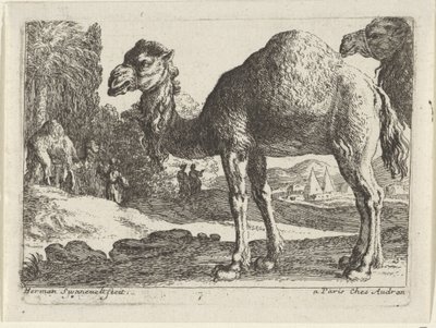 camellos Paisajes con animales (título de serie) de Herman van Swanevelt