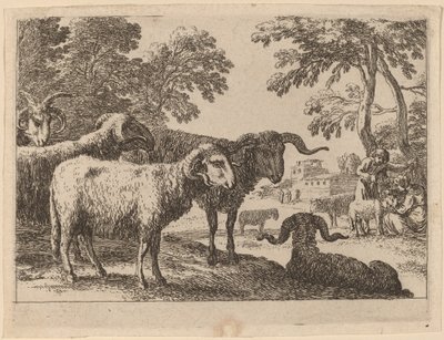 Carneros de Herman van Swanevelt