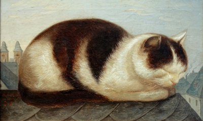 Gato de Hermann Anschütz
