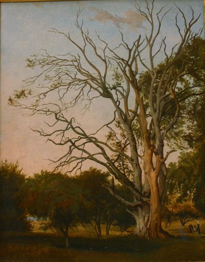 Escena del bosque con un árbol muerto de Hermann Carmiencke
