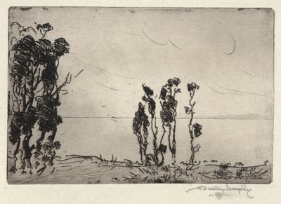 paisaje de la costa de Hermann Dudley Murphy