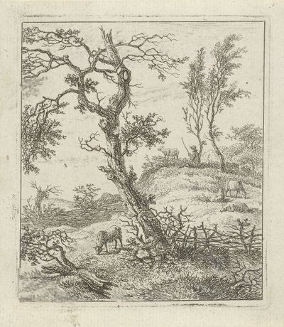 paisaje con pastor en una colina de Hermanus Fock