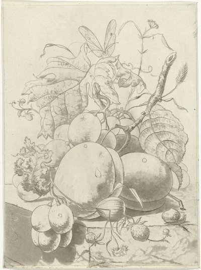 Frutas y una rama con una mariposa. de Hermanus Fock